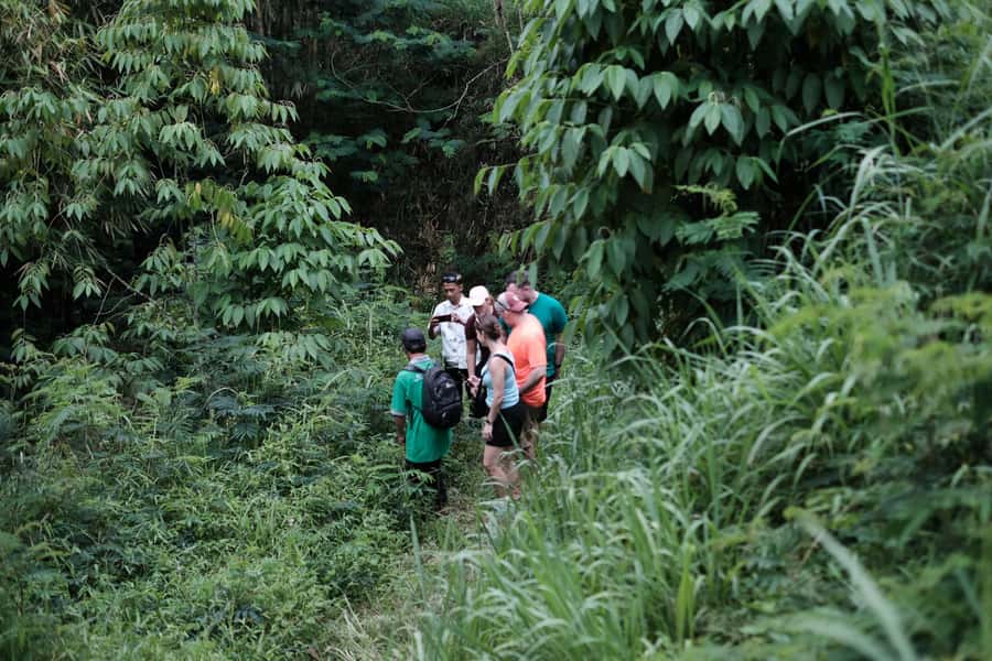 Mt. Merapi Majesty: Soft Trek and Botanic Village Tour - Leaving Yogyakarta for the mountain foothills