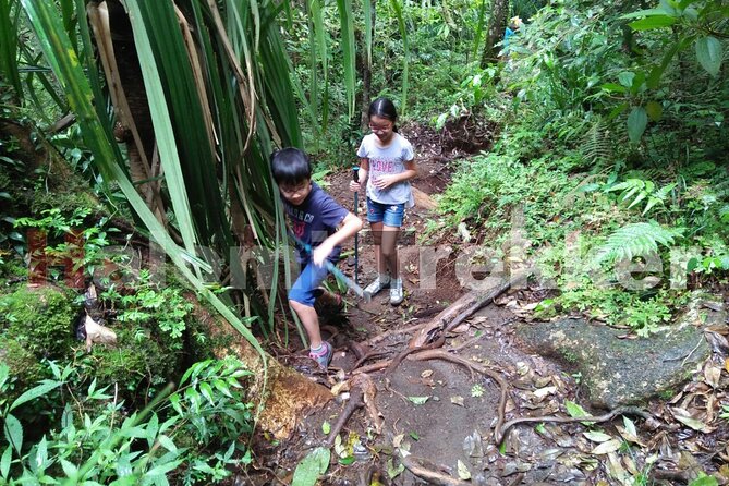 Mt Rinjani Trekking 2 Days 1 Night (Senaru Crater Rim) - Day one: waterfalls before the mountain