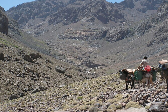 Mt Toubkal Ascent Express Trek 2 Days 1 Night - The summit views from Mount Toubkal