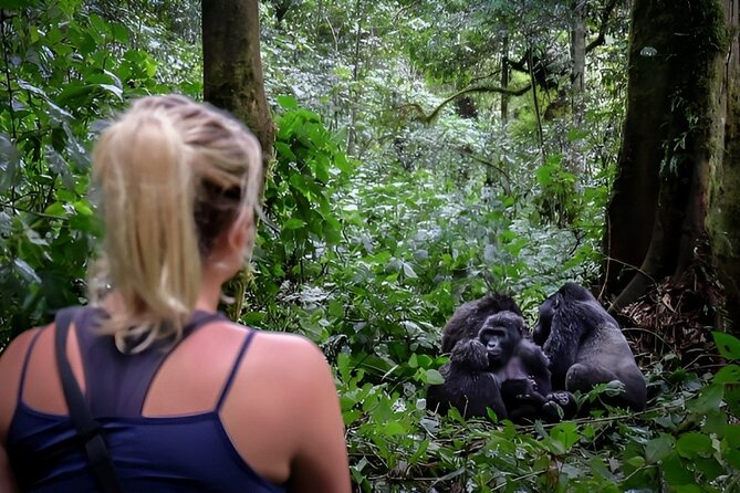 Multi Day Private Gorillas and Chimpanzee Trekking Tour in Uganda - Key points before you book