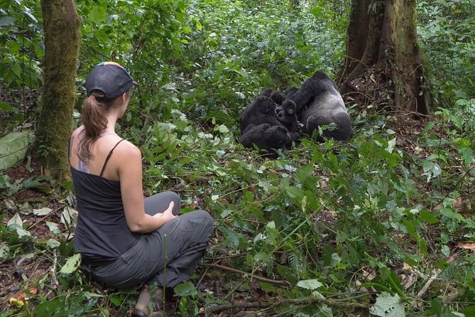 Multi Day Private Gorillas and Chimpanzee Trekking Tour in Uganda - Day 4: Crater Lakes, Queen Elizabeth, and the road to Bwindi
