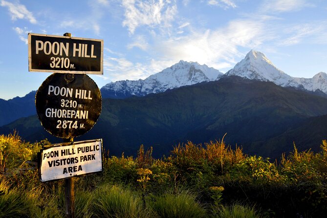 Multi-Day Sites of Nepal Tour from Kathmandu with Poon Hill Trek- 9 Days - Day 3: Nayapul to Ulleri and the first mountain night