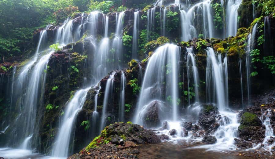 Munduk: Banyu Wana and Sekumpul Waterfall Trekking Tour - At a glance
