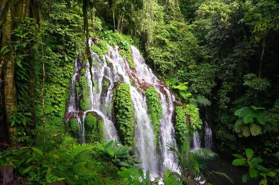 Munduk: Banyu Wana and Sekumpul Waterfall Trekking Tour - Rice terraces provide an easy opening walk