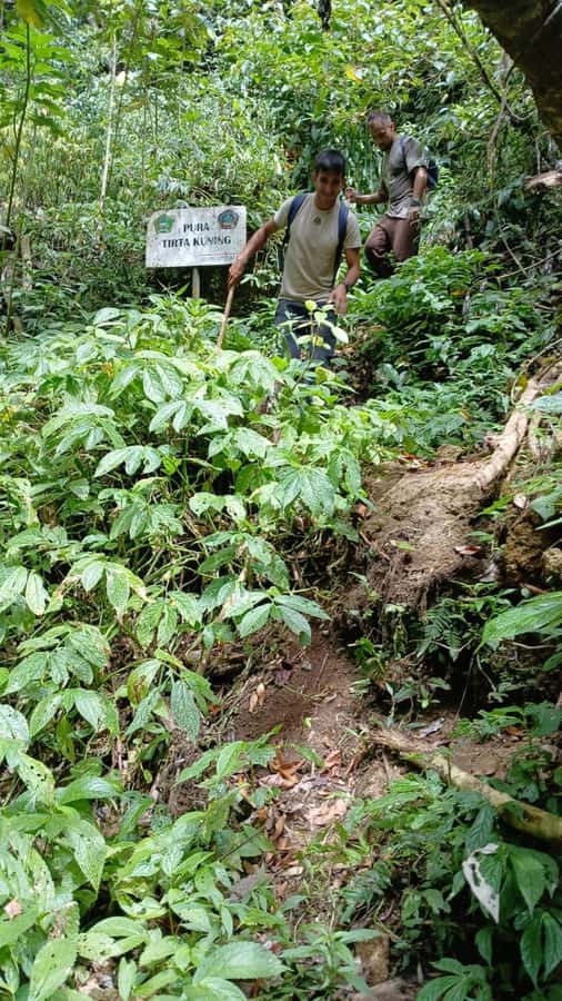 Munduk Jungle Trek to Banyumala & Pucak Manik – Private - Twin Lakes views from the mountain roads
