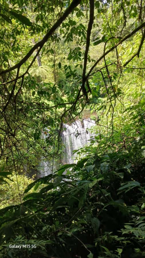 Munduk Jungle Trek to Banyumala & Pucak Manik – Private - Lunch at De Koffie in Wanagiri