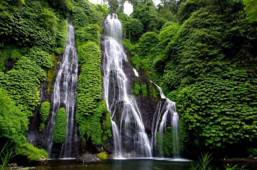 Munduk Jungle Trek to Banyumala & Pucak Manik – Private - Is $33 a fair price?