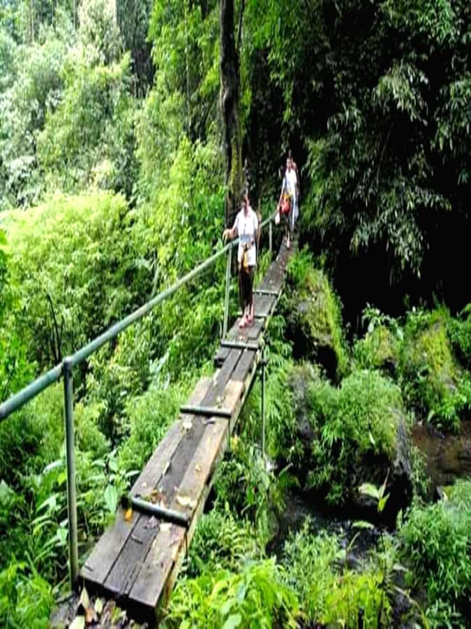 Munduk Jungle Trek to Banyumala & Pucak Manik – Private - Banyumala Twin Waterfalls and the natural pool