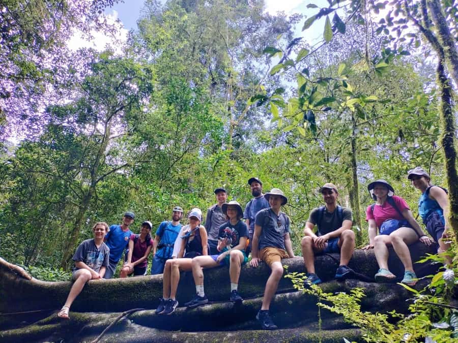 Munduk : Jungle Trekking,Canoeing,waterfall &authentic lunch - Walking through the Munduk jungle