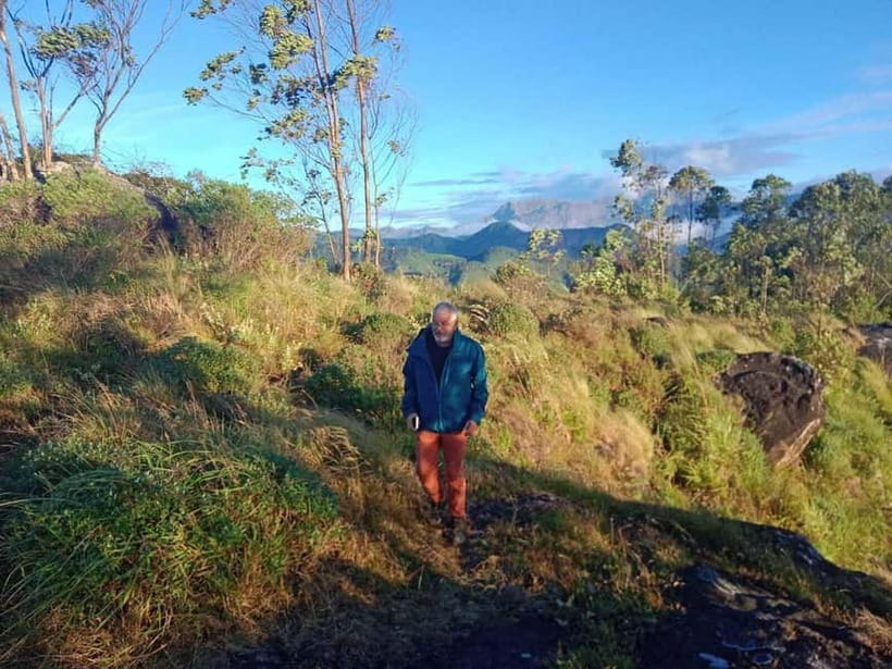 Munnar: Half day Guided Trek - From old crops to tea plantations