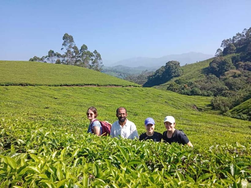 Munnar: Half day Guided Trek - Choosing between Pothamedu and Lekshmi Hill