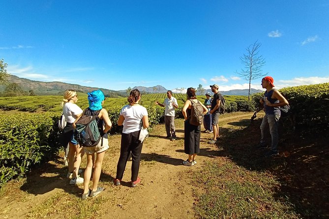 Munnar Mountain Trekking - Entering Rainforest and Forest Country