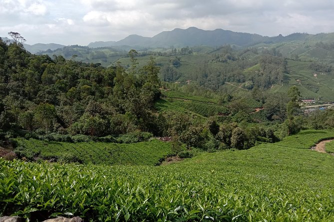 Munnar Mountain Trekking - The Guide and the Human Side of the Walk