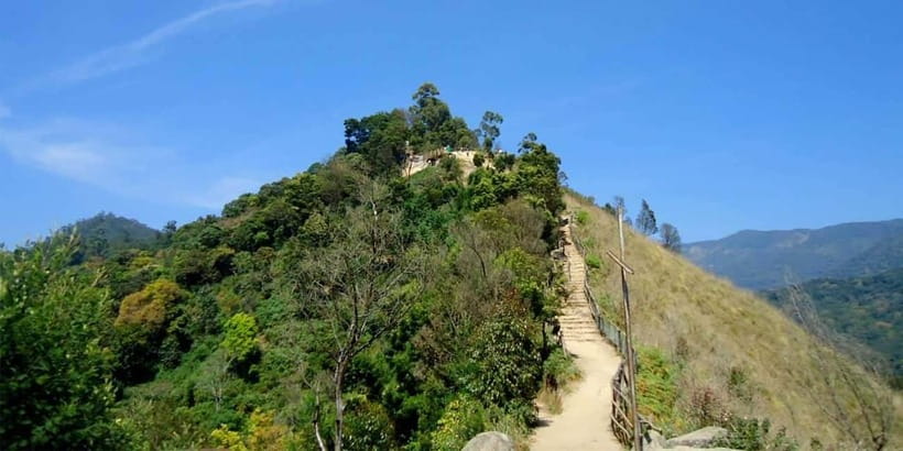 Munnar: Sunrise Trekking Adventure with Breakfast - Key Things to Know Before You Book