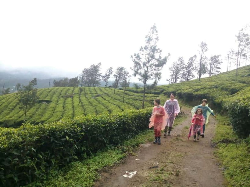 Munnar: Sunrise Trekking Adventure with Breakfast - Starting at Anish Home Stay Before Sunrise