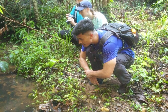My Son sanctuary and mountain trekking - Entering My Son at about 6:30 am