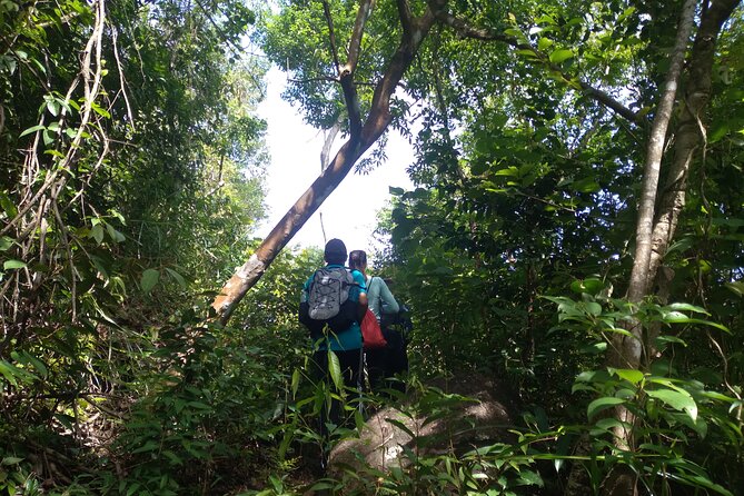 My Son sanctuary and mountain trekking - Following the old route into the mountains
