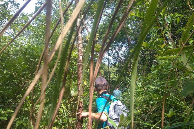 My Son sanctuary and mountain trekking - A small-group outing with simple comforts