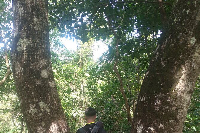 My Son sanctuary and mountain trekking - Who should choose this experience?