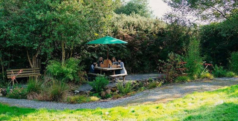 N. Ireland: Award Winning Guided Scenic Alpaca Trekking - Coffee, cake, and the island stop
