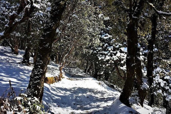 Nag Tibba 2 Days Trek (Pantwari to Pantwari) - Guides, food, tents, and the human side