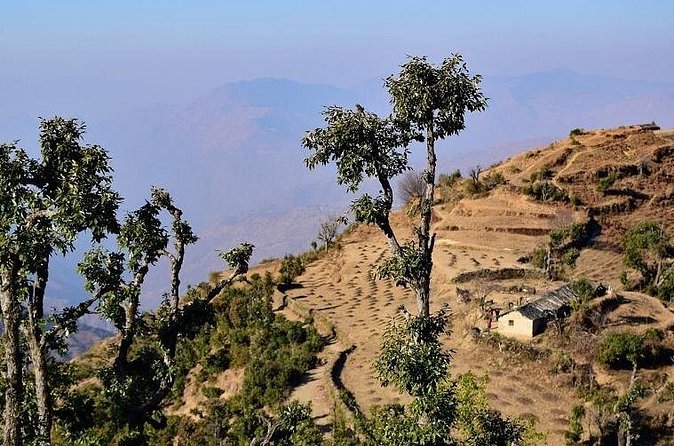 Nag Tibba 2 Days Trek (Pantwari to Pantwari) - Is $24 good value?