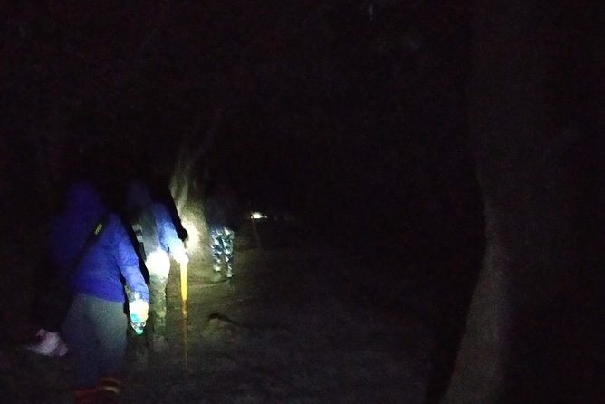Nagtibba Trek (Pantwari to Pantwari) - Starting at Pantwari and Kaushik’s Cafe