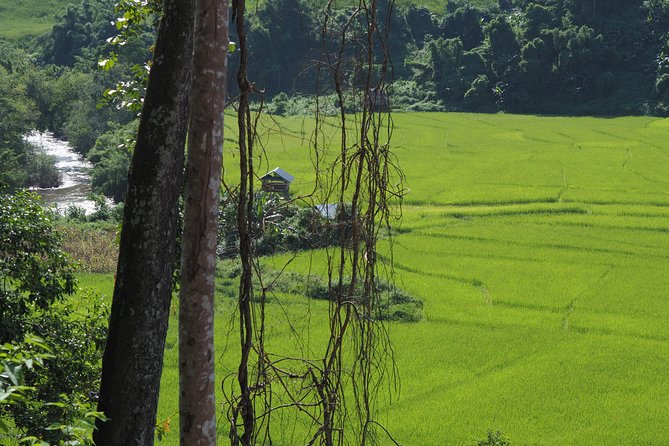 Nalan Trail Kmu Ethnic Experience - 2days forest trek with homestay. - Sleeping beside the river or with a local family
