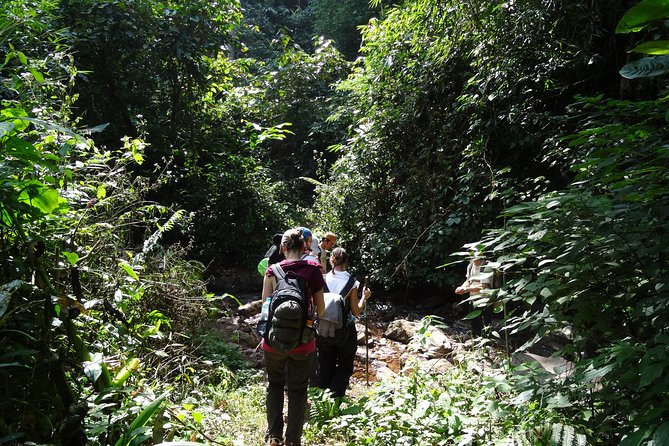Nalan Trail Kmu Ethnic Experience - 2days forest trek with homestay. - What the $115 price covers