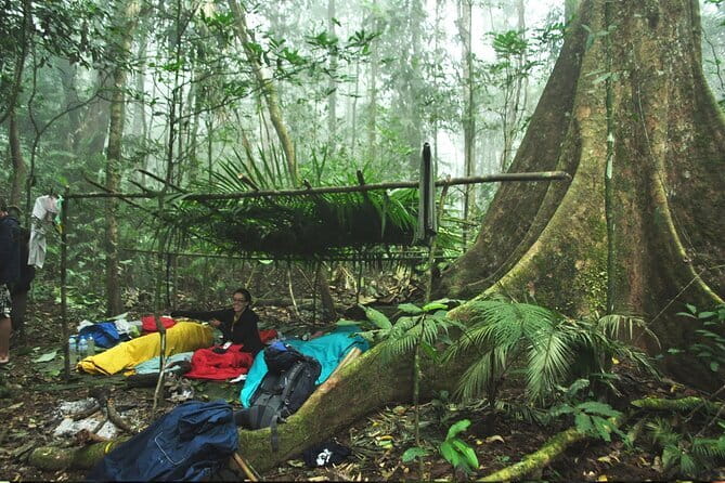 Nam Ha NPA 3 Day Wildlife Jungle Camp and Village Homestay Trek - Five things to know before booking