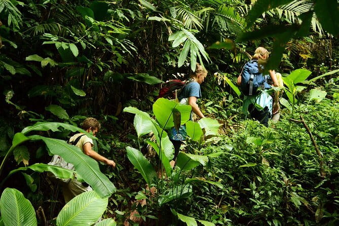 Nam Ha NPA 3 Day Wildlife Jungle Camp and Village Homestay Trek - Who should book this experience