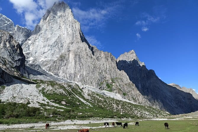 Nangma Valley Trek- The New Trending Place for Adventure lovers - Day 3: A useful day in Skardu