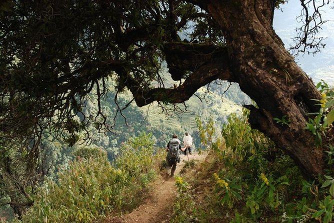 Nepal Round Tour with Annapurna Trek 14 Days - Seven days on Annapurna trails