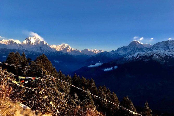 Nepal Round Tour with Annapurna Trek 14 Days - What the $1,227.78 price really buys