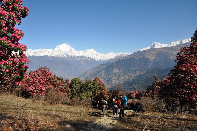 Nepal Round Tour with Annapurna Trek 14 Days - Flying to Pokhara saves a long road journey