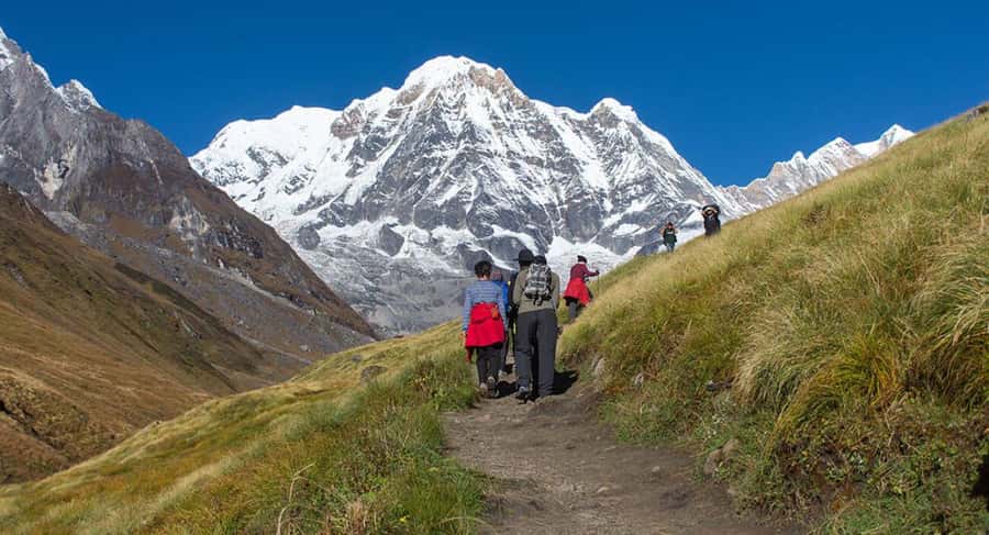 Nepal: Time For Easy Annapurna Base Camp Trek - Day 4: Annapurna Base Camp to Bamboo