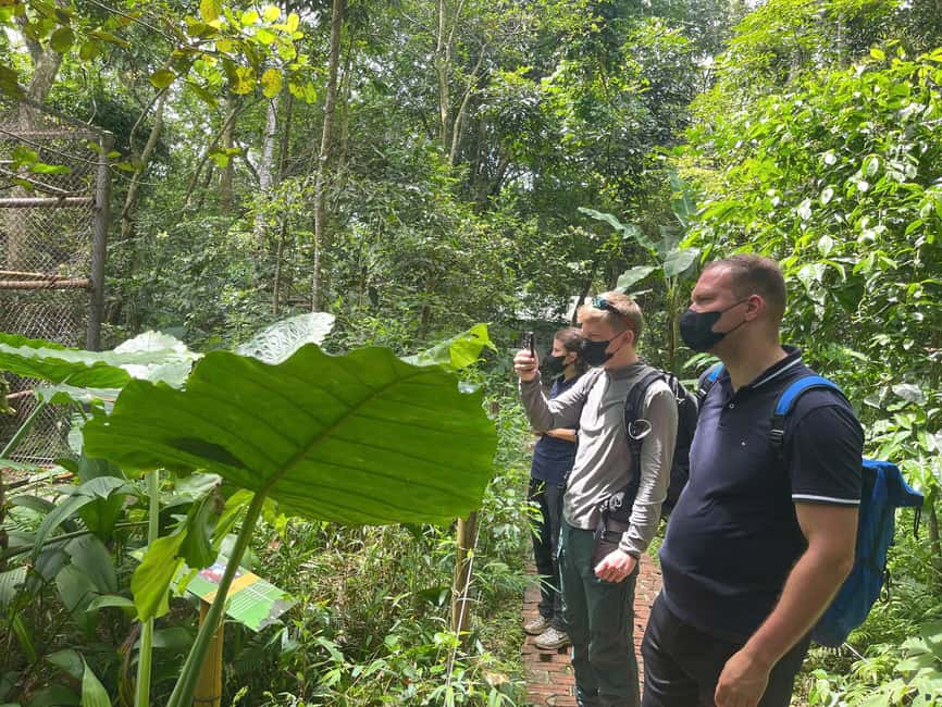 Ninh Binh: Cuc Phuong Jungle Trek, Wildlife & Ancient Caves - Afternoon wildlife and plant life