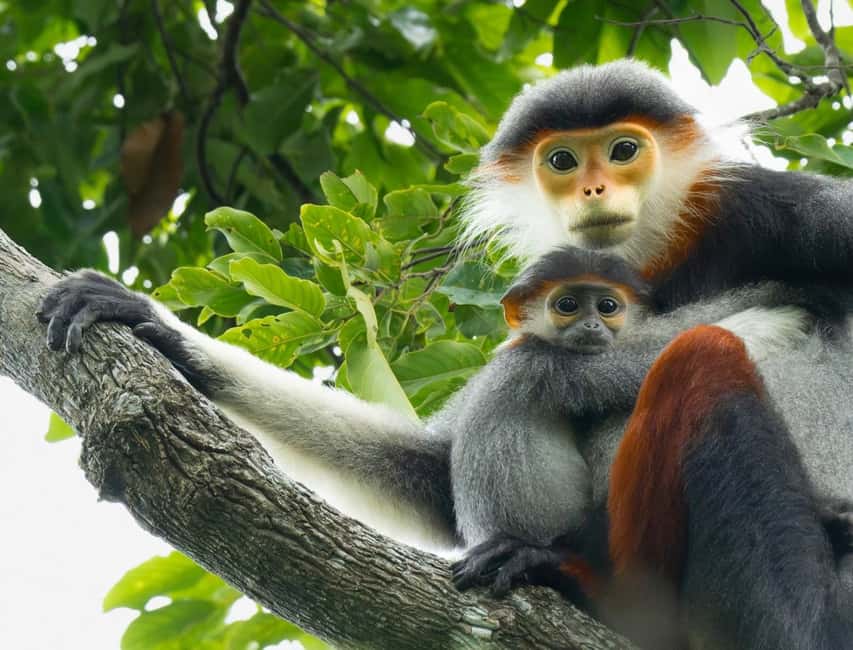 Ninh Binh: Cuc Phuong Jungle Trek, Wildlife & Ancient Caves - The ride from Ninh Binh to the forest