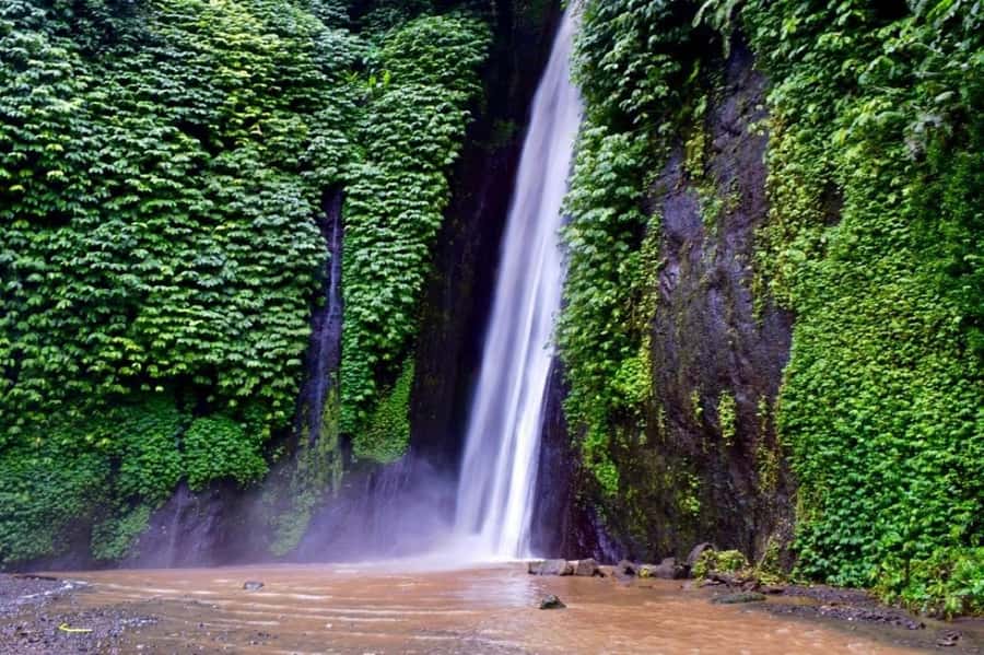 North Bali: Explore Munduk Waterfall Trekking Experience - Meeting at Melanting Cottage and getting ready