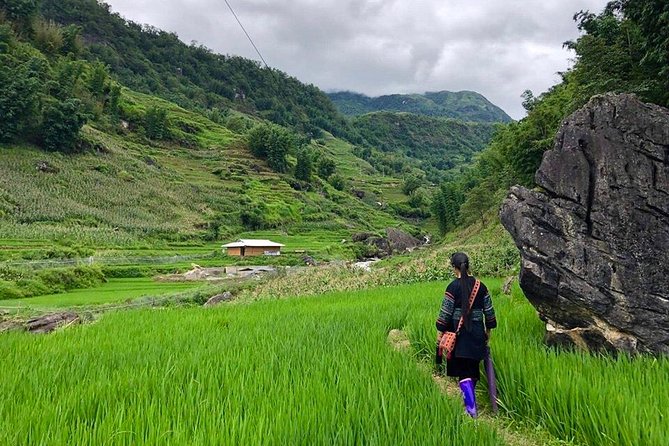 Number one top rated ethical cultural trekking and homestay by ETHOS - Why this Sapa trek feels different