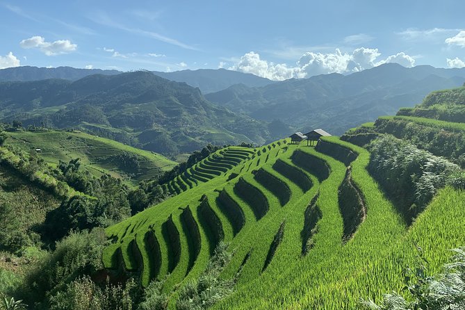 Number one top rated ethical cultural trekking and homestay by ETHOS - Day two: choose your distance before the taxi back