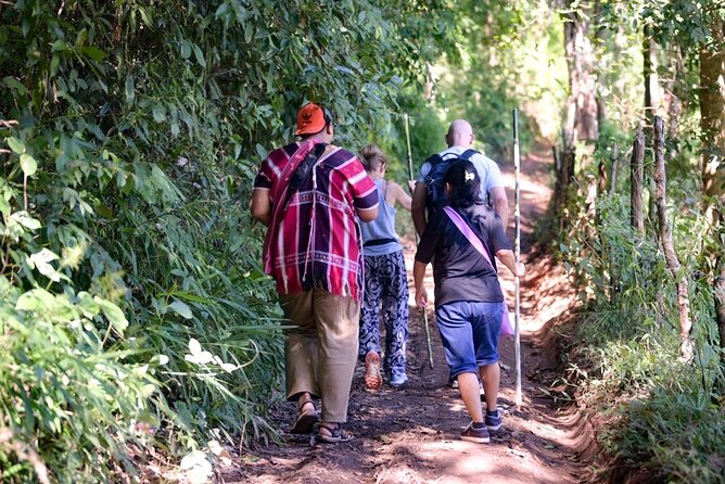 Off the Map Chiang Mai Jungle Coffee Trek Roast and Brew - Switching to a 4WD in Mae Wang National Park