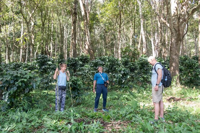 Off the Map Chiang Mai Jungle Coffee Trek Roast and Brew - Learning the V60 pour-over method