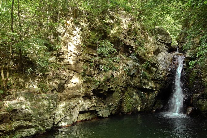 Okinawa Jungle Trails & Waterfalls – Private Yanbaru Tour - Why Yanbaru is worth your time