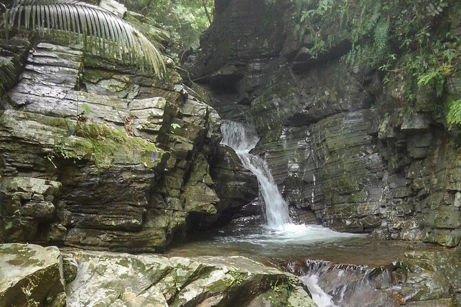 Okinawa Jungle Trails & Waterfalls – Private Yanbaru Tour - The river route: choose your level of adventure