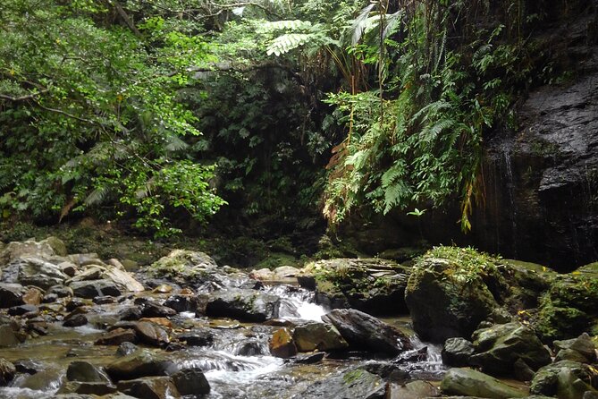 Okinawa Jungle Trails & Waterfalls – Private Yanbaru Tour - The waterfalls: a natural pause in the walk