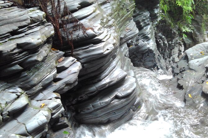 Okinawa Jungle Trails & Waterfalls – Private Yanbaru Tour - Price, timing, and overall value