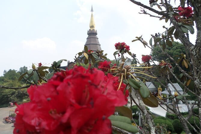 One day Doi Inthanon National Park & Trekking on Kew Mae Pan - A Hmong hill tribe market and lunch