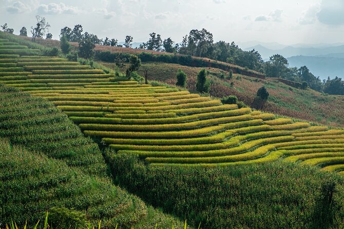 One day Doi Inthanon & Trekking at Pha Dok Siew - Why this Doi Inthanon day trip works