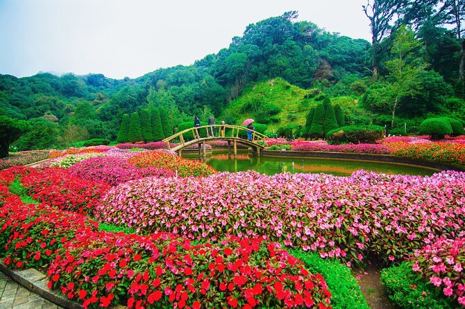One day Doi Inthanon & Trekking at Pha Dok Siew - Lunch before the longer forest walk